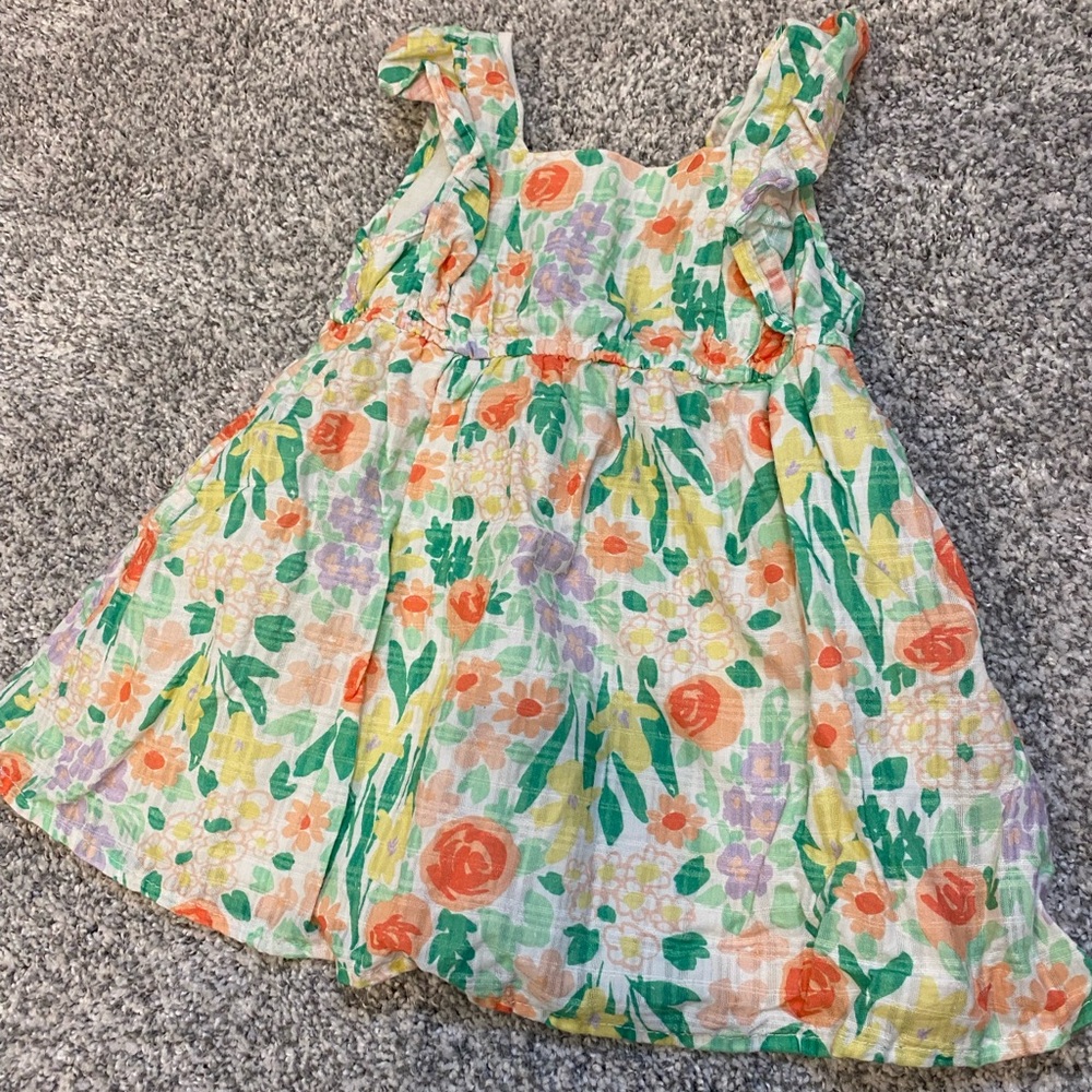 12 Month Cat & Jack Dress